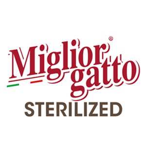 MigliorGatto