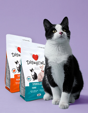 Disugual Cat 300gr + 300gr Δώρο
