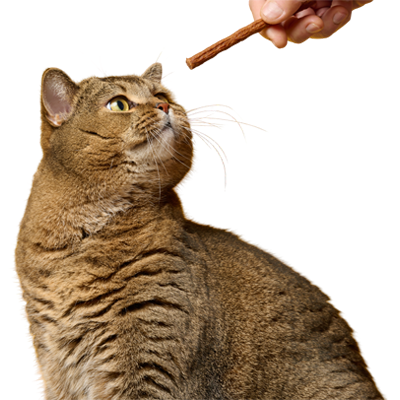 Sticks