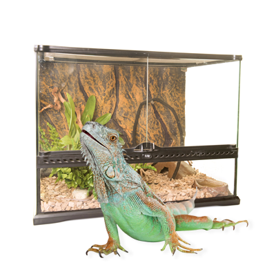 Υπόστρωμα Terrarium