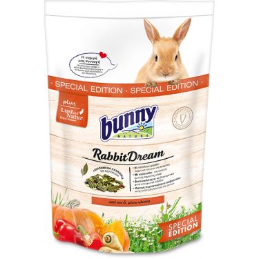Bunny Rabbit Dream Special Edition