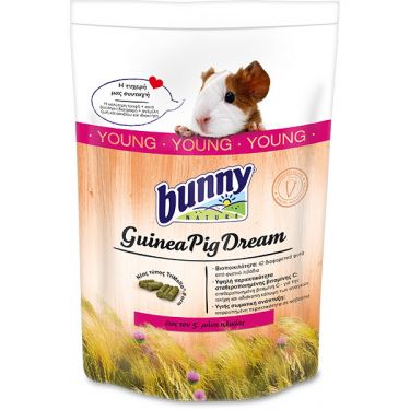 Bunny Guinea Pig Dream Young