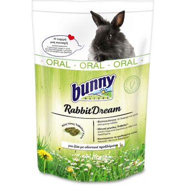 Bunny Rabbit Dream Oral