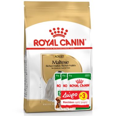 Royal Canin Maltese Adult