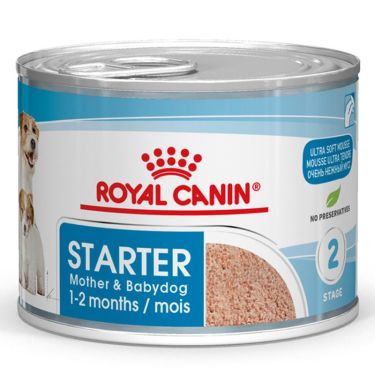 Royal Canin Starter Mousse Mother & Babydog Can