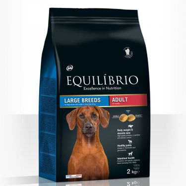 Equilibrio Adult Large Breeds