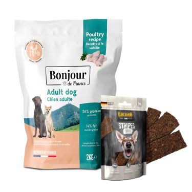 Bonjour Dog Adult Premium Regular Κοτόπουλο