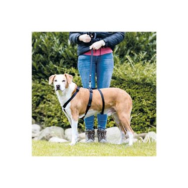 Trixie Stay Training Harness XSmall/Small