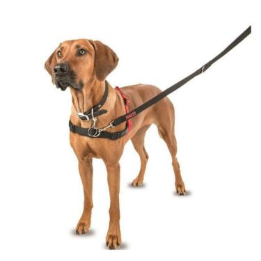 Halti Front Control Harness Εκπαιδευτικό Σαμαράκι 58-86cm