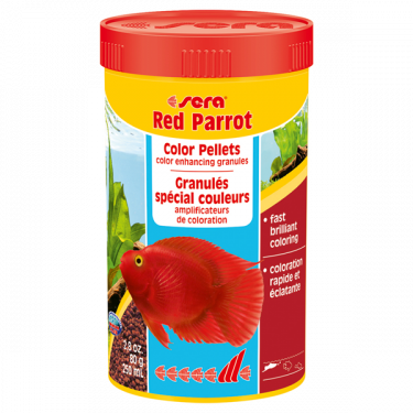 Sera Red Parrot