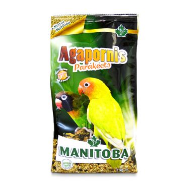 Manitoba Agapornis Parakeets