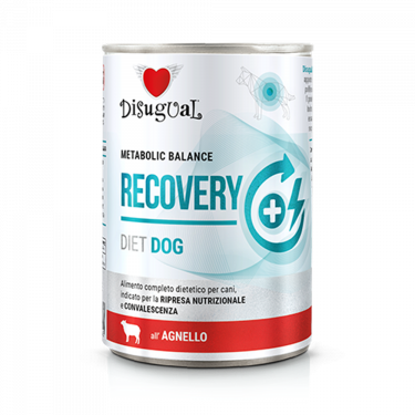 Disugual Vet Diet Dog Recovery 400gr