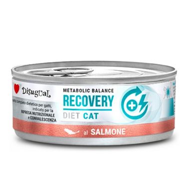 Disugual vet diet cat recovery 85gr