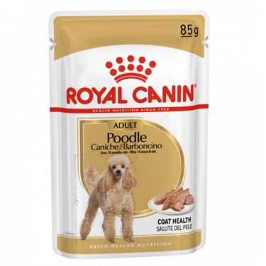 Royal Canin Adult Poodle Barboncino