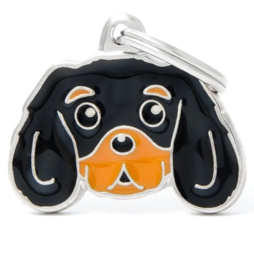 My Family Ταυτότητα Friends Cavalier King Charles