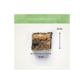 Antos Fish D'light Squares 1τμχ