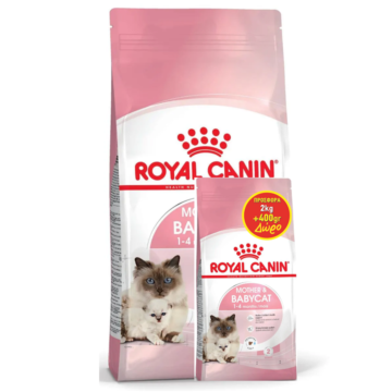 Royal Canin Mother & Baby Cat 2kg + 400gr Δώρο