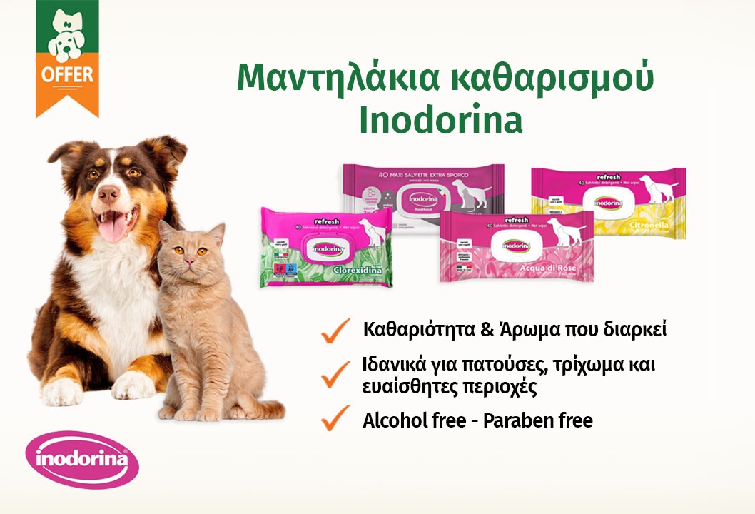INODORINA