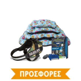 ΔΙΑΦΟΡΑ ΑΞΕΣΟΥΑΡ ΠΡΟΣΦΟΡΕΣ