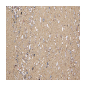 ΑΜΜΟΣ ΠΟΥΛΙΩΝ