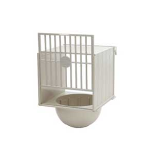 ΑΥΓΟΘΗΚΕΣ & ΦΩΛΙΕΣ