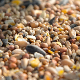 ΤΡΟΦΕΣ ΣΠΟΡΟΙ - ΜΕΙΓΜΑΤΑ