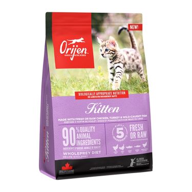 Orijen Kitten