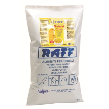 Aυγοτροφή Hοlland Cova RAFF