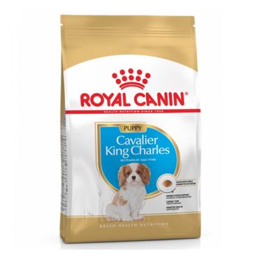 Royal Canin Cavalier King Charles Puppy