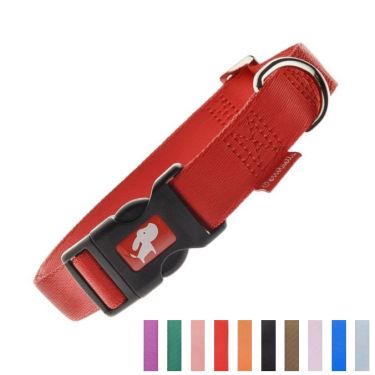 Ferribiella Dog Περιλαίμιο Nylon Collar