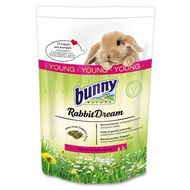 Bunny Rabbit Dream Young
