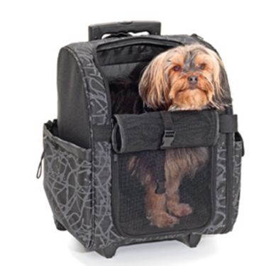 Karlie Smart Trolley City