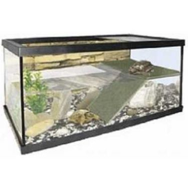 Donald Γυάλινη Χελωνιέρα με Ράμπα