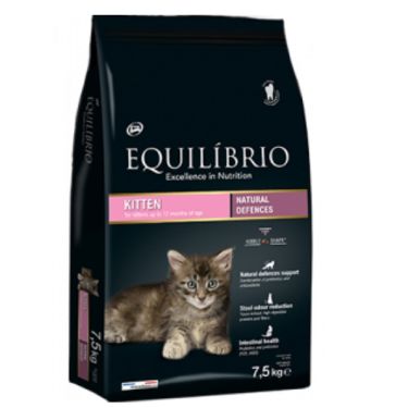 Equilibrio Kittens