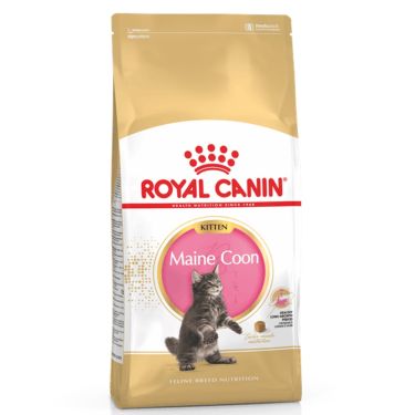 Royal Canin Kitten Maine Coon