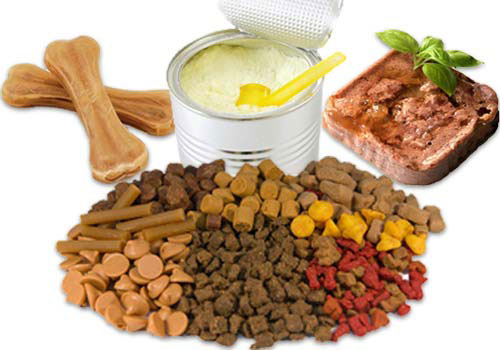 Επιλέξτε το σωστό Super Food για το κατοικίδιό σας ανάλογα με τις ανάγκες του